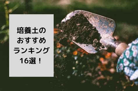 培養土種類|【2024年】培養土のおすすめ16選を紹介！失敗しな。